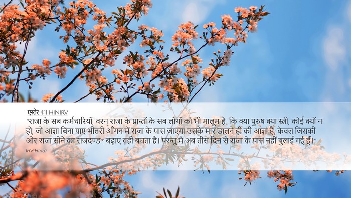 एस्तेर 4:11 HINIRV Bible Verse Image