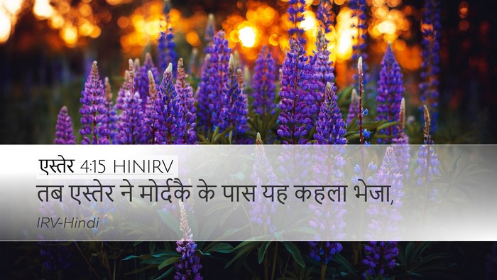 एस्तेर 4:15 HINIRV Desktop Wallpaper - तब एस्तेर ने - Desktop Bible Verse Wallpaper