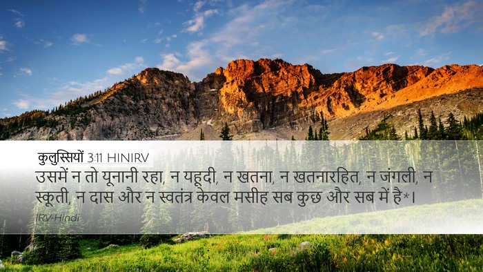 कुलुस्सियों 3:11 HINIRV Bible Verse Image
