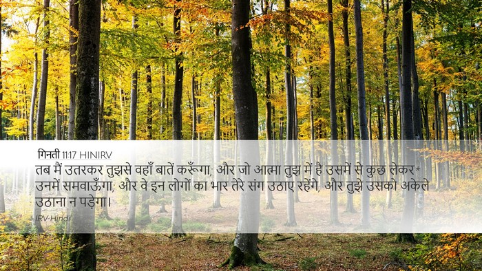 गिनती 11:17 HINIRV Bible Verse Image
