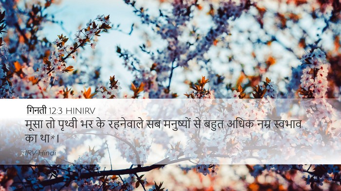 गिनती 12:3 HINIRV Bible Verse Image