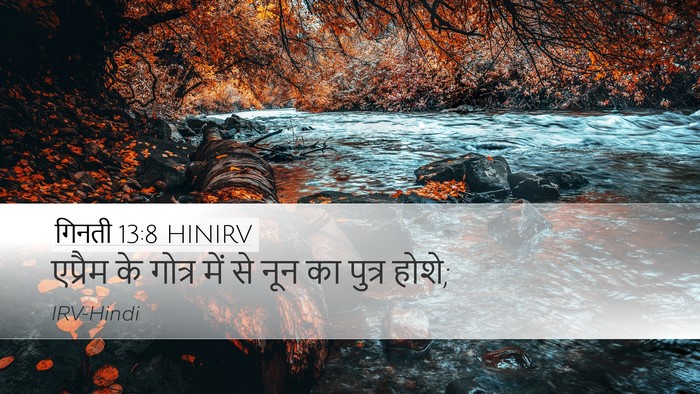 गिनती 13:8 HINIRV Bible Verse Image