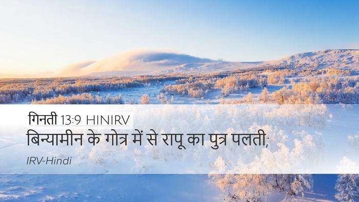 गिनती 13:9 HINIRV Desktop Wallpaper - बिन्यामीन के - Desktop Bible Verse Wallpaper