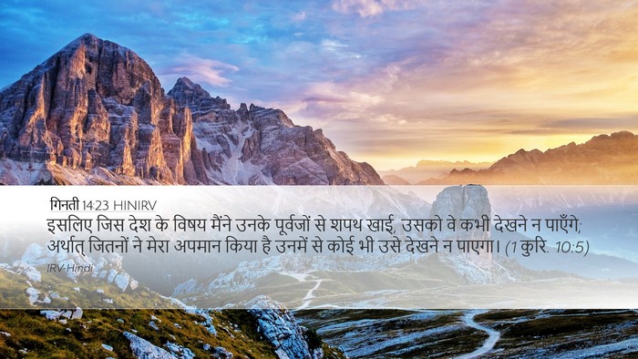 गिनती 14:23 HINIRV Bible Verse Image