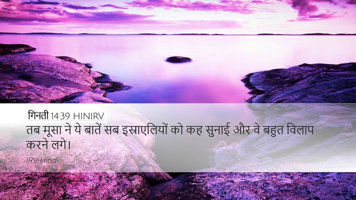 गिनती 14:39 HINIRV Desktop Wallpaper - तब मूसा ने ये बातें - Desktop Bible Verse Wallpaper