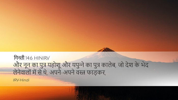 गिनती 14:6 HINIRV Bible Verse Image