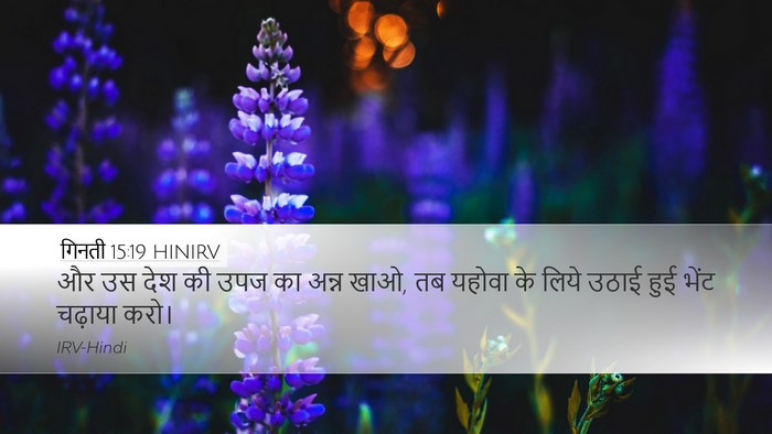 गिनती 15:19 HINIRV Desktop Wallpaper - और उस देश की उपज का - Desktop Bible Verse Wallpaper