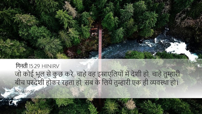 गिनती 15:29 HINIRV Bible Verse Image