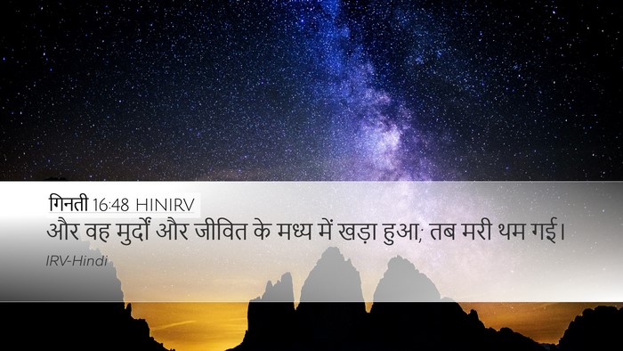 गिनती 16:48 HINIRV Desktop Wallpaper - और वह मुर्दों और - Desktop Bible Verse Wallpaper