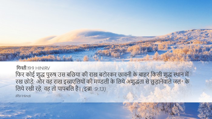 गिनती 19:9 HINIRV Desktop Wallpaper - फिर कोई शुद्ध - Desktop Bible Verse Wallpaper