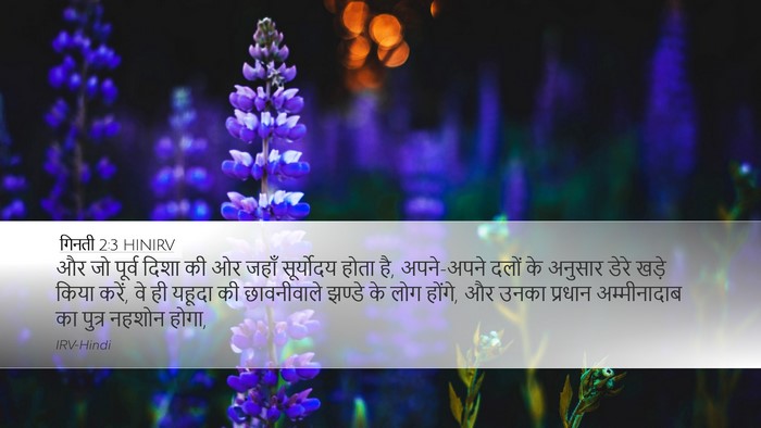 गिनती 2:3 HINIRV Bible Verse Image