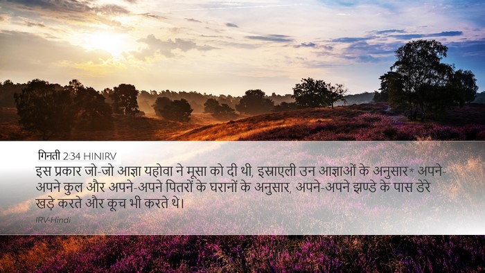 गिनती 2:34 HINIRV Bible Verse Image