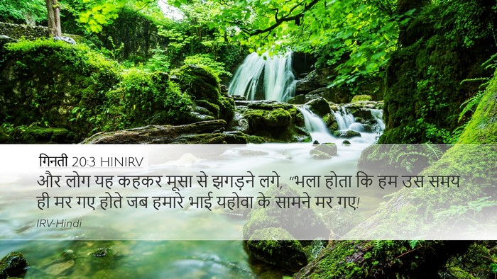 गिनती 20:3 HINIRV Desktop Wallpaper - और लोग यह कहकर मूसा - Desktop Bible Verse Wallpaper