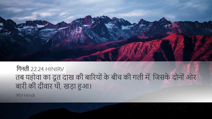 गिनती 22:24 HINIRV Desktop Wallpaper - तब यहोवा का दूत दाख - Desktop Bible Verse Wallpaper
