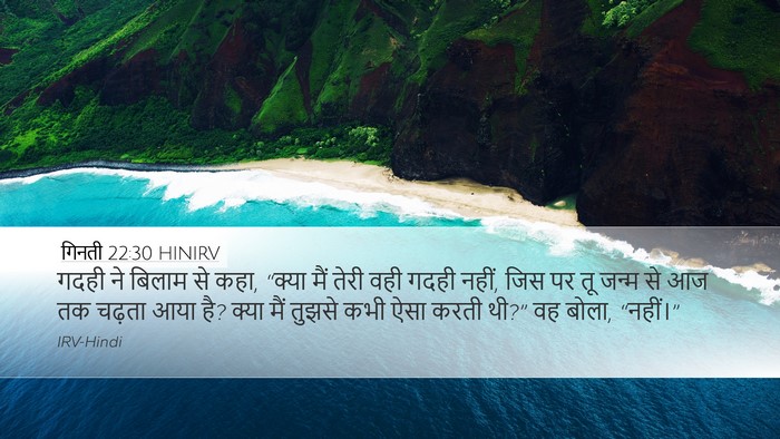 गिनती 22:30 HINIRV Desktop Wallpaper - गदही ने बिलाम से - Desktop Bible Verse Wallpaper