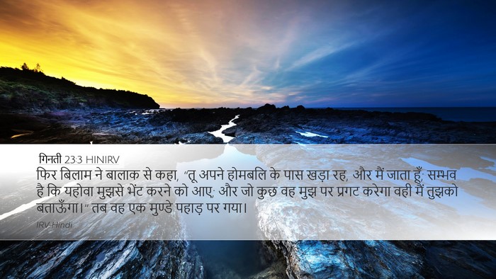 गिनती 23:3 HINIRV Bible Verse Image