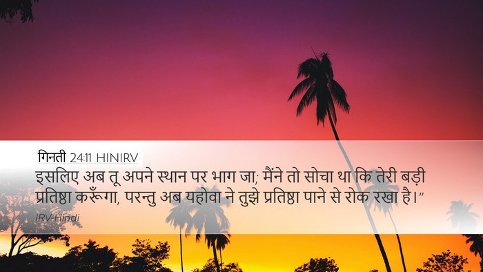 गिनती 24:11 HINIRV Desktop Wallpaper - इसलिए अब तू अपने - Desktop Bible Verse Wallpaper