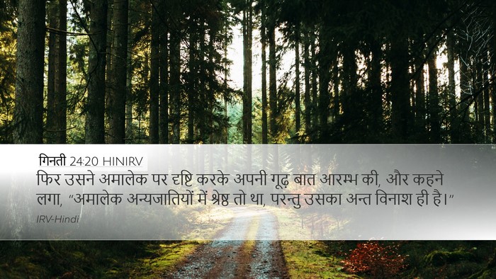 गिनती 24:20 HINIRV Bible Verse Image