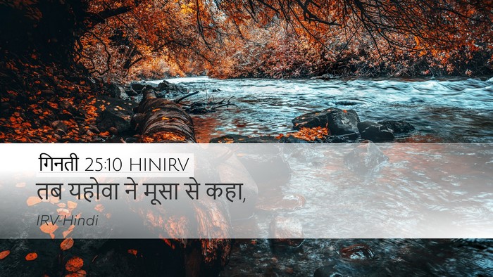 गिनती 25:10 HINIRV Desktop Wallpaper - तब यहोवा ने मूसा से - Desktop Bible Verse Wallpaper