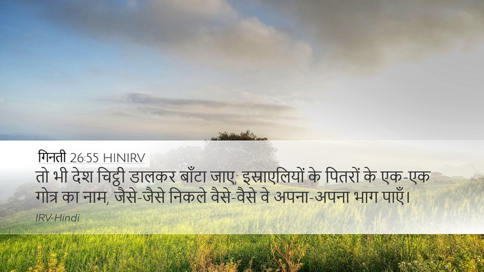 गिनती 26:55 HINIRV Bible Verse Image