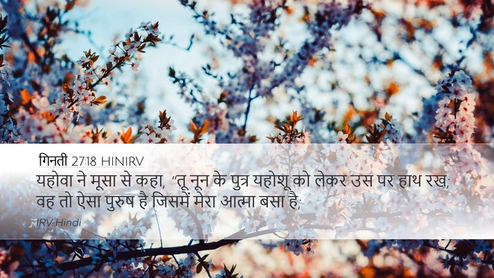गिनती 27:18 HINIRV Desktop Wallpaper - यहोवा ने मूसा से - Desktop Bible Verse Wallpaper