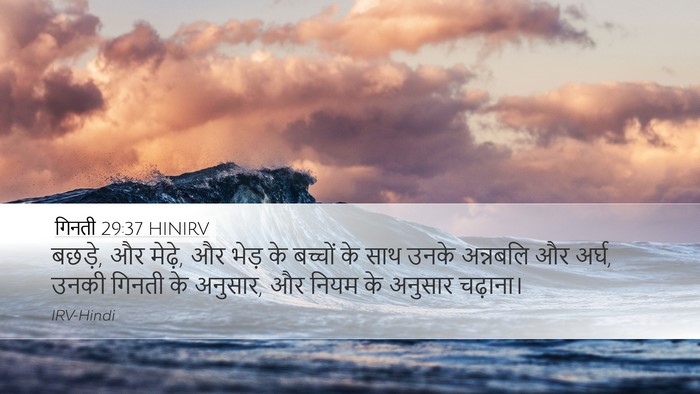 गिनती 29:37 HINIRV Desktop Wallpaper - बछड़े, और मेढ़े, और - Desktop Bible Verse Wallpaper