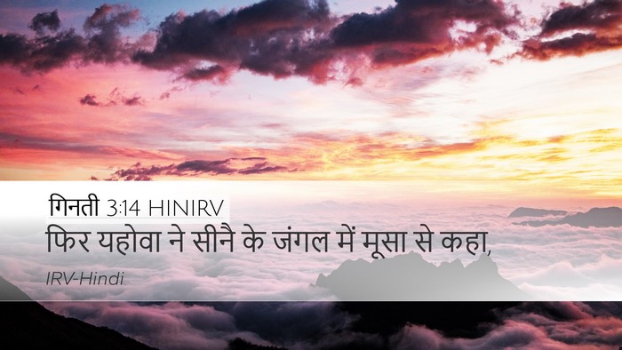 गिनती 3:14 HINIRV Desktop Wallpaper - फिर यहोवा ने सीनै - Desktop Bible Verse Wallpaper