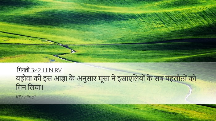 गिनती 3:42 HINIRV Desktop Wallpaper - यहोवा की इस आज्ञा - Desktop Bible Verse Wallpaper