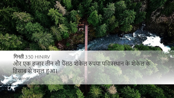 गिनती 3:50 HINIRV Bible Verse Image