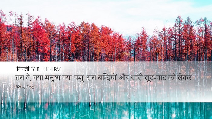 गिनती 31:11 HINIRV Bible Verse Image