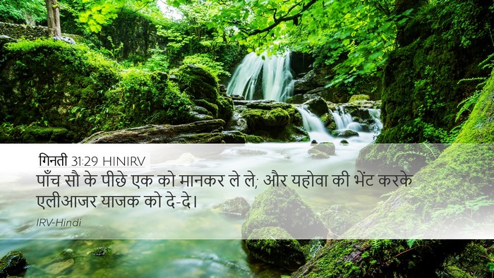 गिनती 31:29 HINIRV Bible Verse Image