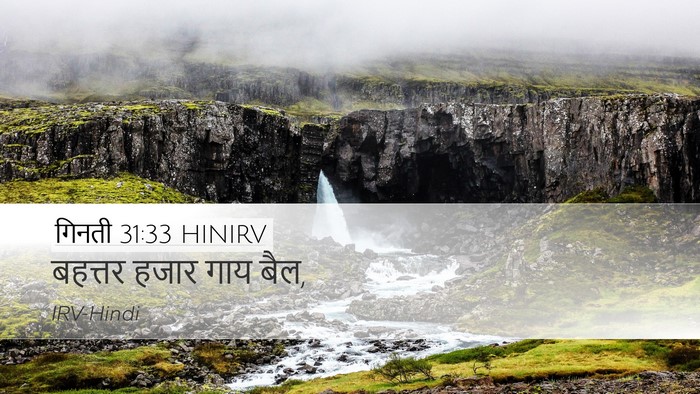 गिनती 31:33 HINIRV Desktop Wallpaper - बहत्तर हजार गाय - Desktop Bible Verse Wallpaper