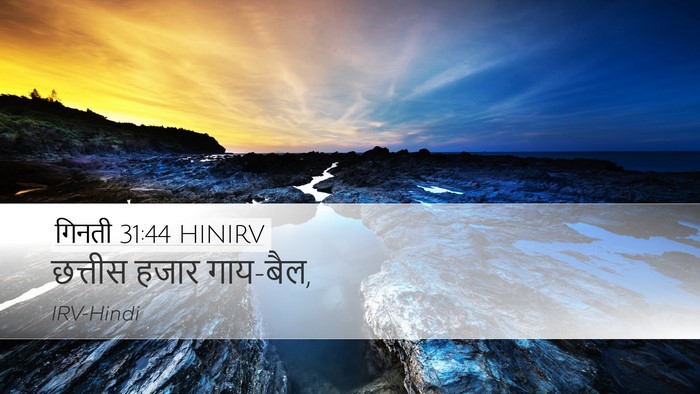 गिनती 31:44 HINIRV Desktop Wallpaper - छत्तीस हजार - Desktop Bible Verse Wallpaper