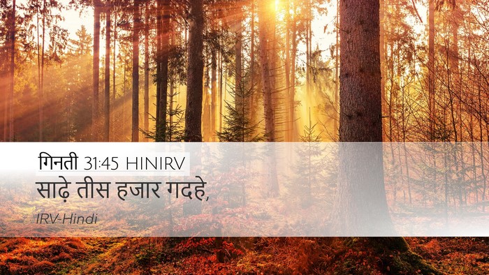 गिनती 31:45 HINIRV Desktop Wallpaper - साढ़े तीस हजार - Desktop Bible Verse Wallpaper