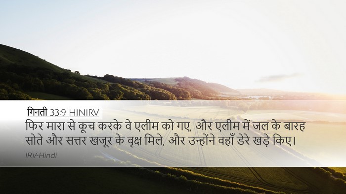 गिनती 33:9 HINIRV Desktop Wallpaper - फिर मारा से कूच - Desktop Bible Verse Wallpaper