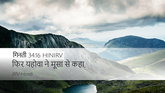 गिनती 34:16 HINIRV Desktop Wallpaper - फिर यहोवा ने मूसा - Desktop Bible Verse Wallpaper