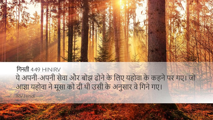 गिनती 4:49 HINIRV Bible Verse Image