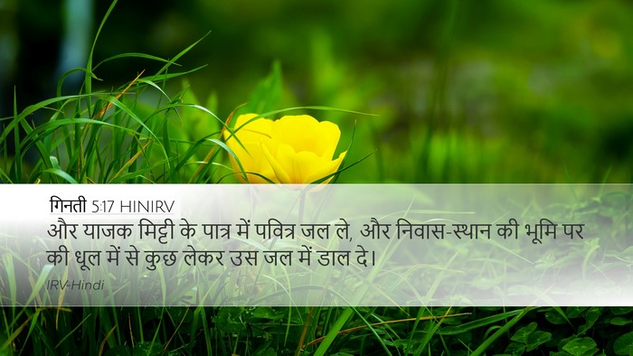 गिनती 5:17 HINIRV Desktop Wallpaper - और याजक मिट्टी के - Desktop Bible Verse Wallpaper