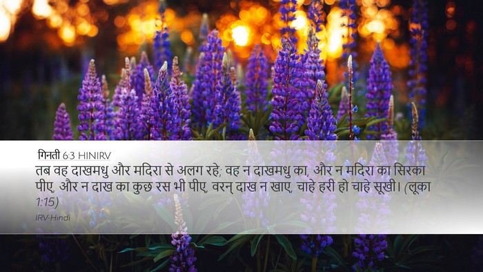 गिनती 6:3 HINIRV Desktop Wallpaper - तब वह दाखमधु और - Desktop Bible Verse Wallpaper