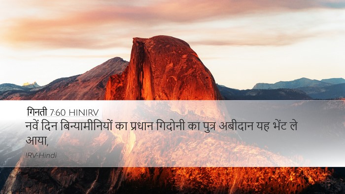 गिनती 7:60 HINIRV Bible Verse Image