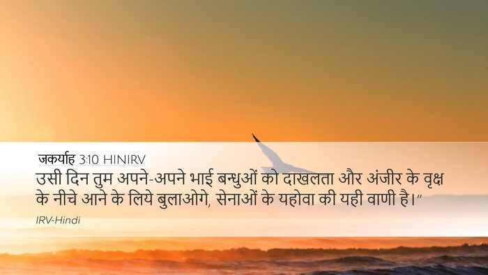 जकर्याह 3:10 HINIRV Bible Verse Image