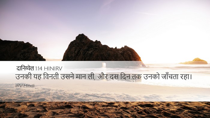 दानिय्येल 1:14 HINIRV Desktop Wallpaper - उनकी यह विनती उसने - Desktop Bible Verse Wallpaper