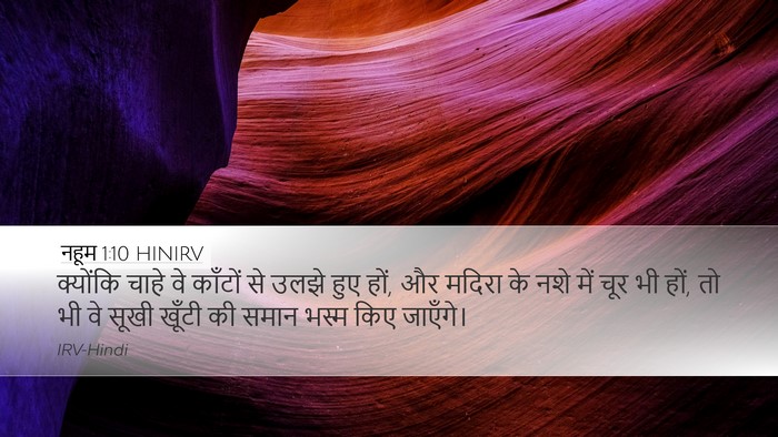 नहूम 1:10 HINIRV Bible Verse Image