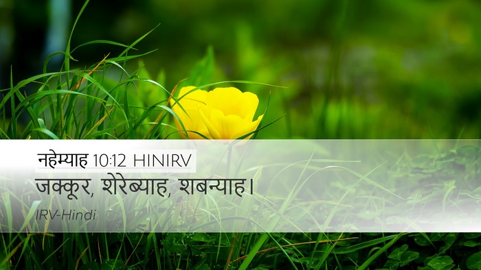 नहेम्याह 10:12 HINIRV Bible Verse Image
