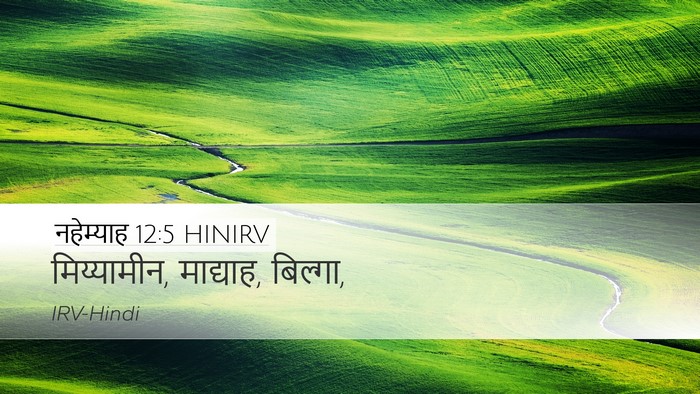 नहेम्याह 12:5 HINIRV Desktop Wallpaper - मिय्यामीन, - Desktop Bible Verse Wallpaper