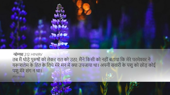 नहेम्याह 2:12 HINIRV Bible Verse Image