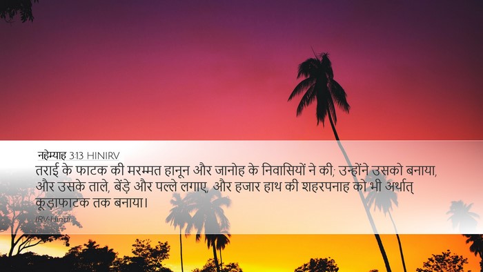 नहेम्याह 3:13 HINIRV Bible Verse Image