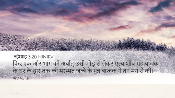 नहेम्याह 3:20 HINIRV Bible Verse Image