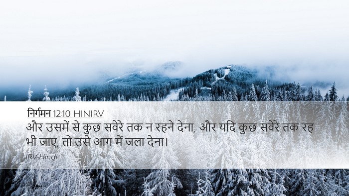 निर्गमन 12:10 HINIRV Bible Verse Image