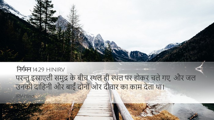निर्गमन 14:29 HINIRV Bible Verse Image